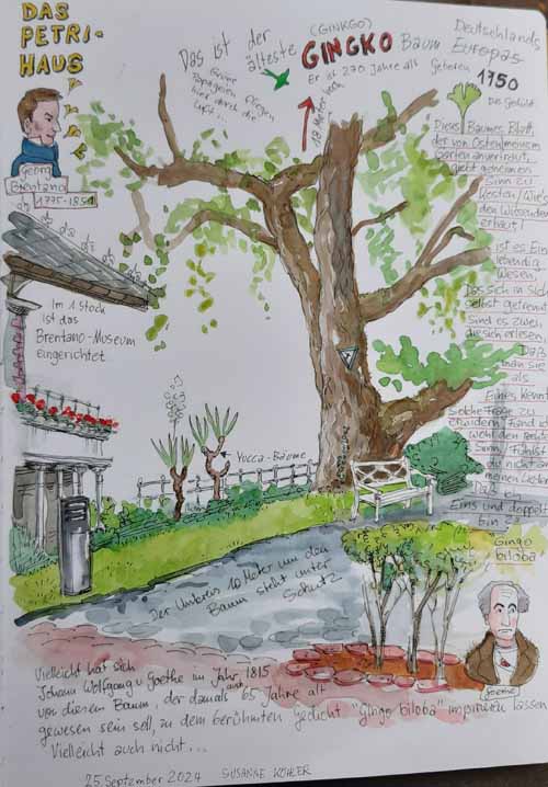 urban sketching 2
